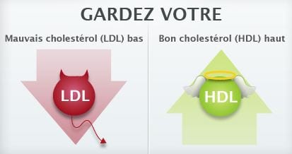 bon et mauvais cholesterol