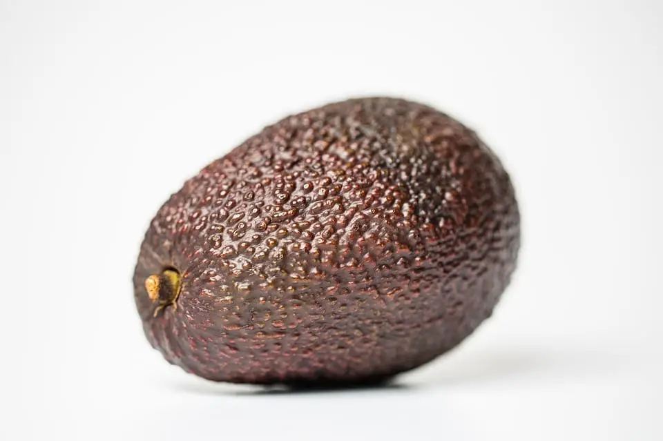 huile avocat