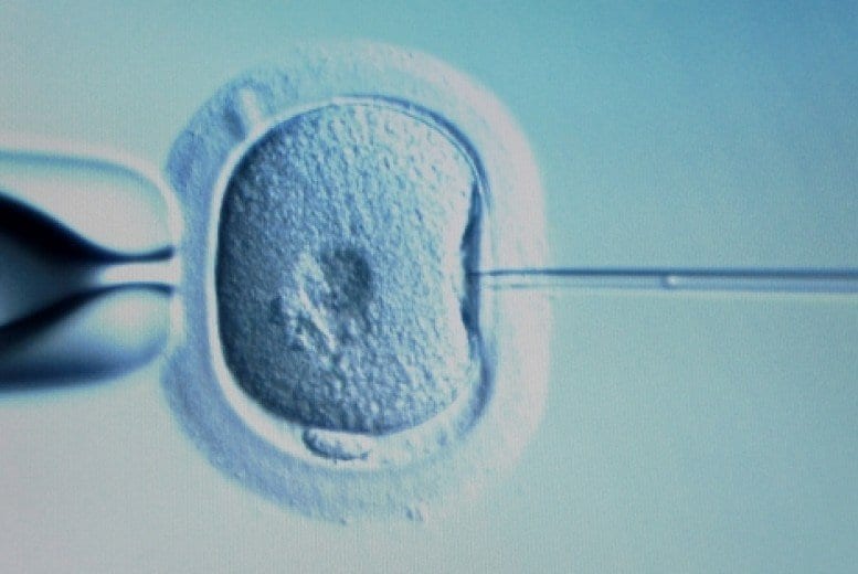 comprendre fecondation in vitro