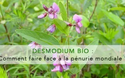 desmodium-bio