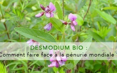 desmodium-bio