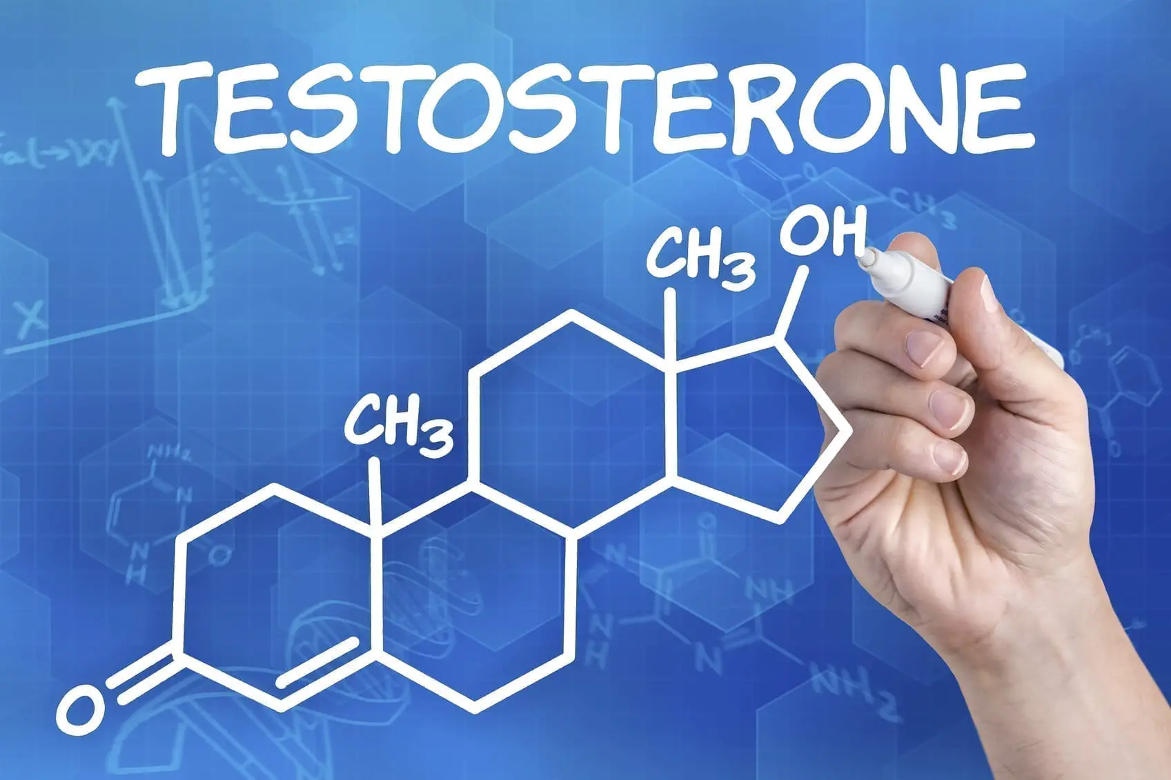 testosterone molecule