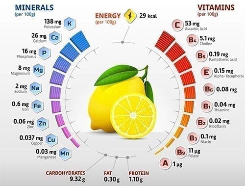 infographie-composition-citron