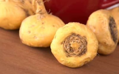 maca bio