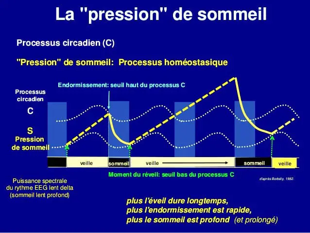 processus homéostasique