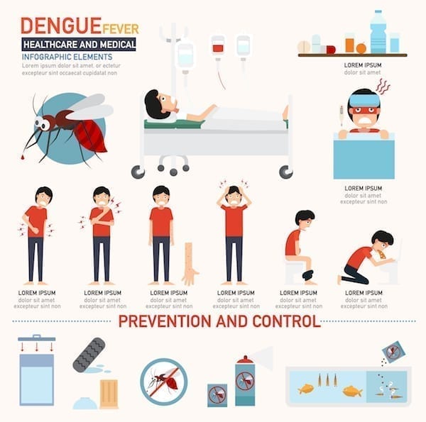 dengue symptomes